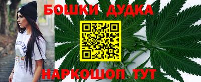 гидропоника Пенза