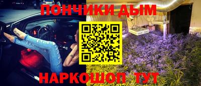 гидропоника Пенза