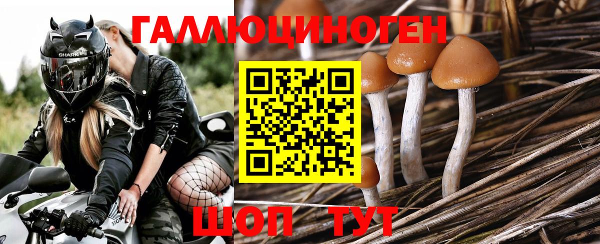 Псилоцибиновые грибы прущие грибы Саратов