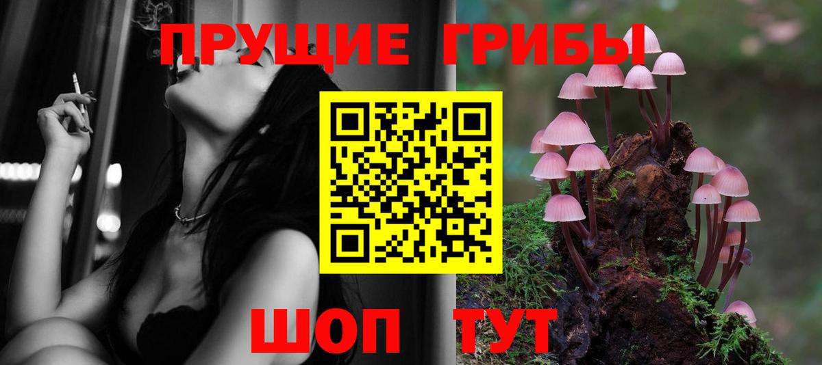 APVP Саратов
